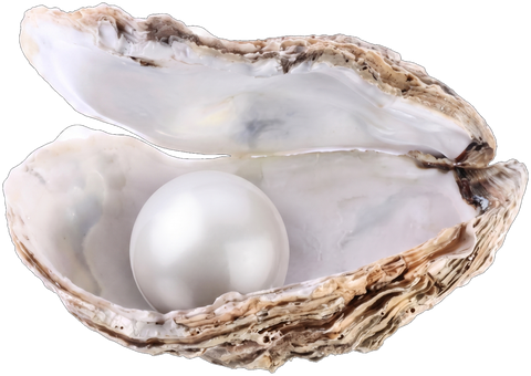 Freshwater Pearl rough specimen